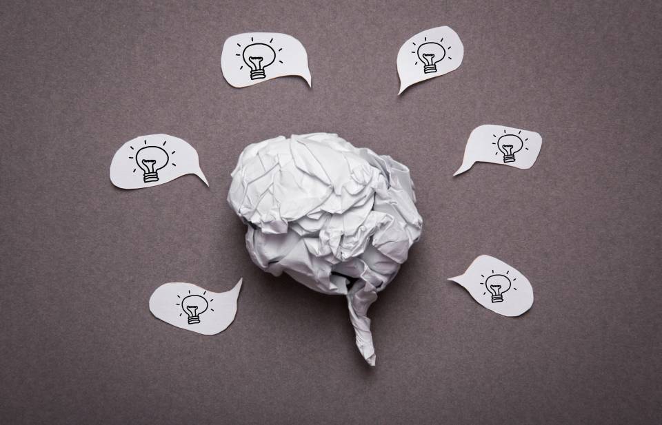 Your Brain Rewards Action, Not Ideas